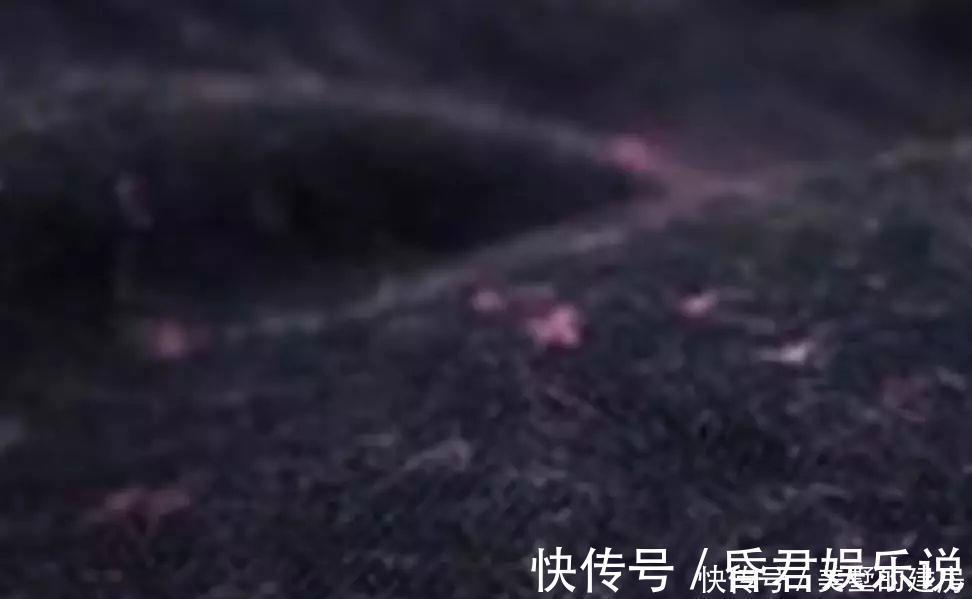 牙膏|25个最聪明的生活小窍门,简单又实用,送给大家!