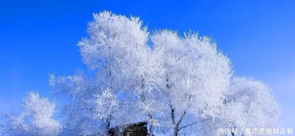 中年|冬天很美，但你要小心它是一场美丽的欺骗