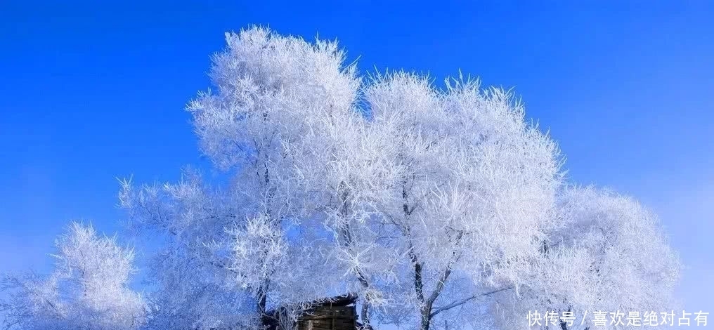 中年|冬天很美,但你要小心它是一场美丽的欺骗