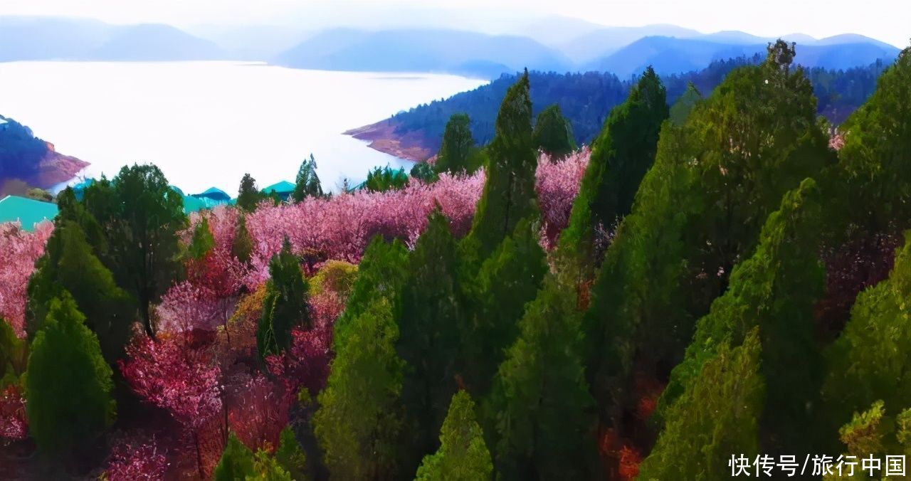 美景正在这里生根又发芽|植树节 | a5200