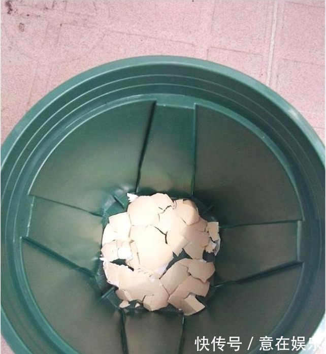 营养物质|养长寿花,配土加1料,长寿花吃得很欢,不停爆花,变成大花球!