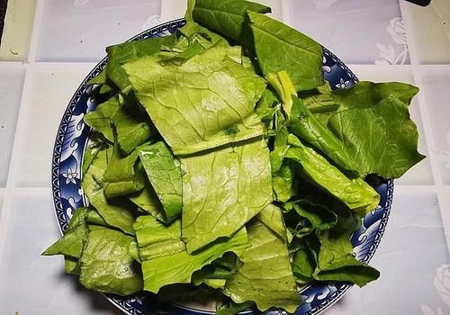 它叫“凤尾菜”，富含莴苣素，与花生米绝配，睡眠不好的人要多吃