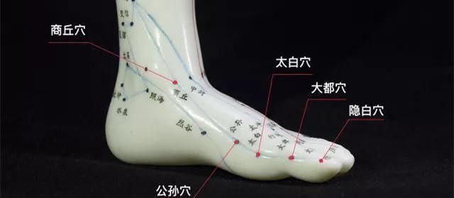 关元@经气养生法基本功，关元桩介绍