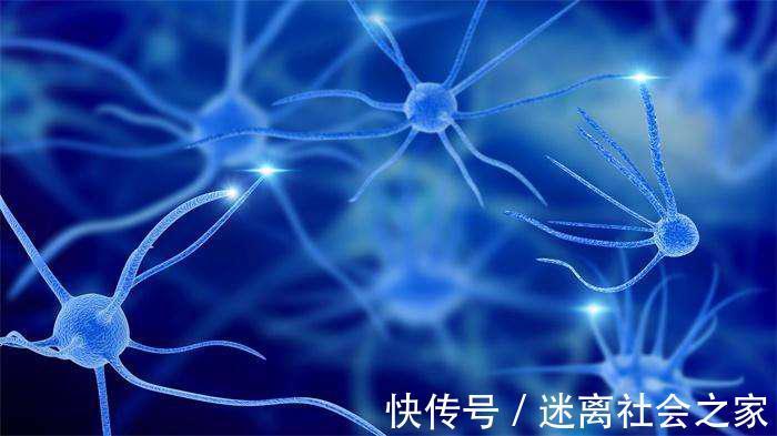 不良习惯|长寿的人有这五种习惯，老人若能坚持下去，晚年就不必操心！