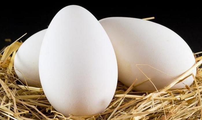 看一看|怀孕后,有必要吃鹅蛋吗若你还没有到孕8月,建议还是看一看