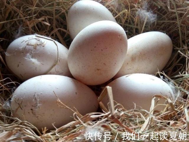 鱼肉|怀孕后，4种食物孕妈尽量多吃点，或促进胎儿智力发育，别不舍得