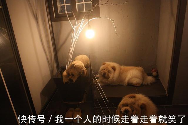 改造|8000块改造半地下室，房东看到吐槽谁让你改的以后咋租给别人