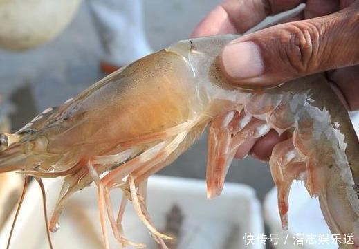买大虾不是越贵越好，教你3个小方法，买到的大虾个个新鲜又饱满