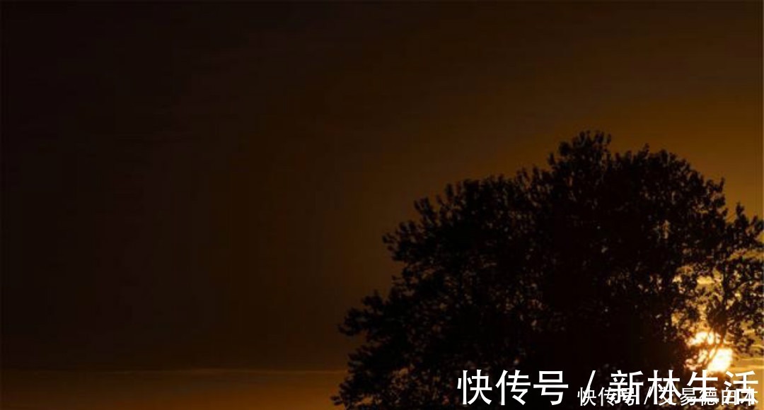 王叔文&刘禹锡的思乡之作感人至深,第一句就耐人寻味,有着淡淡的忧伤!