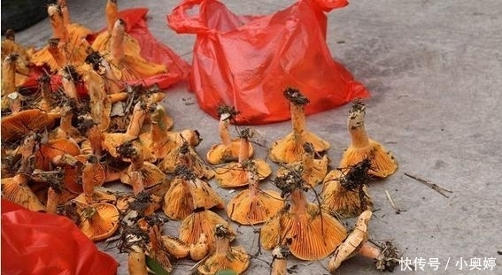 山胡椒|婆婆托人从老家带来的土特产,光闺蜜就愿花100块来买一斤