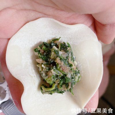  饺子|荠菜饺子：冬至到，该吃饺子了