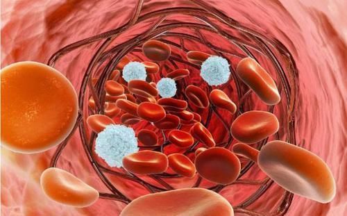 测血脂时,化验单上的4项指标,是需要了解的,不妨来了解下