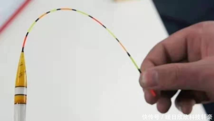 两条子|鲤鱼钓了大半辈子,还是头一次换用这调钓技能,谁料中鱼率特高