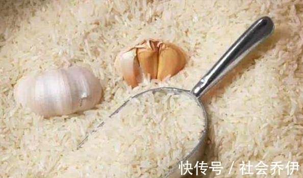 储存|大米怎么储存不容易生虫呢？农村老人告诉你做法