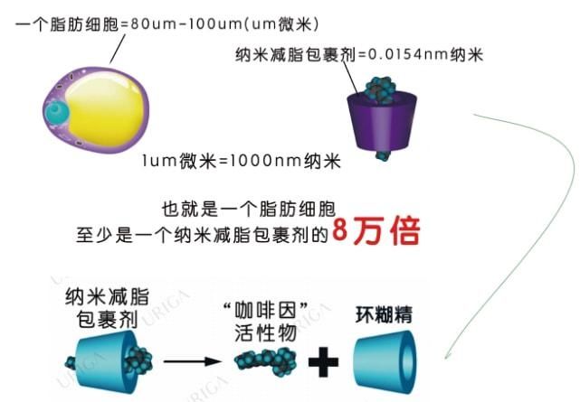 东方美人正当时 苗小条国潮纤体有妙招