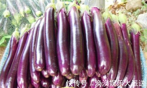 裂片|买茄子，再便宜也别买这种！学会看4点，远离激素茄子，不会买错