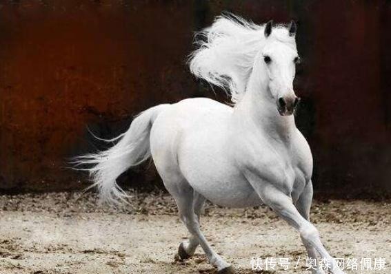  反击|与宋江正式决裂！怒打曾头市，来自晁盖的反击