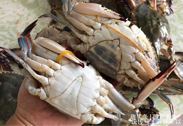 买梭子蟹不会挑老渔民教你1招挑螃蟹，保准个个鲜肥，太香了