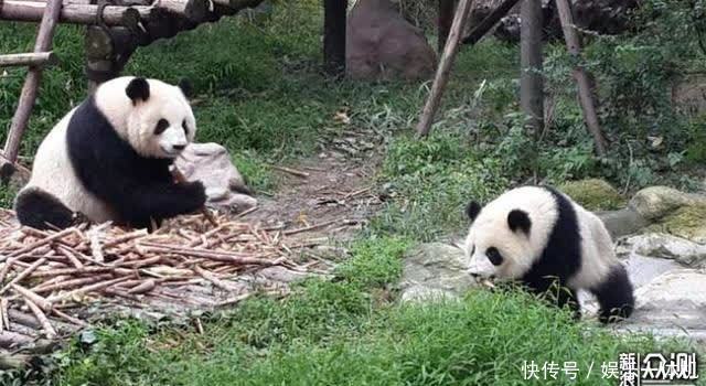 天上人间|四川这8大景点，待山河无恙，一定要去看看！