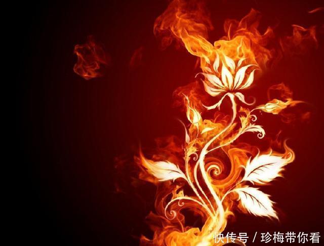 火焰|斗罗大陆：斗罗中靠火属性成名的魂师，马红俊的邪火凤凰险遭垫底