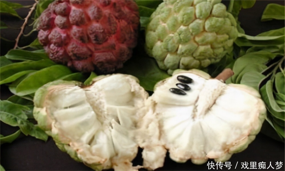 女性爱美多吃3种食物,排毒瘦身,美白护肤,延缓肌肤衰老