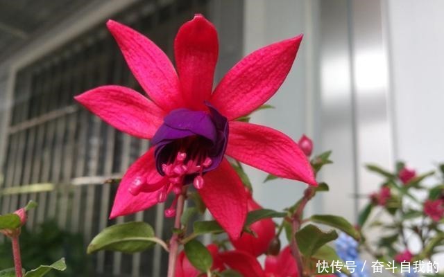 别再稀里糊涂养花了,这些基础常识,很重要!