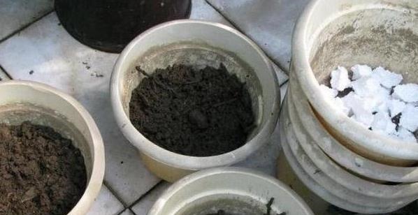 养花土，用一个塑料袋，轻松杀虫灭菌，花盆里一个虫子都没有