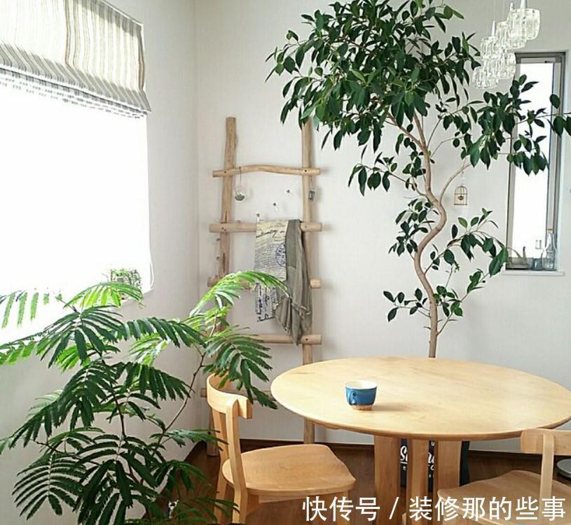 小两口之家,全屋布满绿植鲜花,把生活过成了诗,太美太治愈了