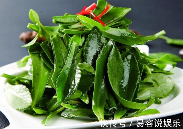 救心菜|家里盆栽一盆这个蔬菜,一年省了买药钱,可以救命的保健蔬菜