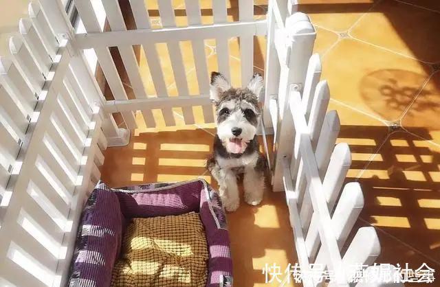 阳台|媳妇不听劝，非要把阳台改书房，完工后绝了！晒晒