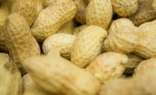 花生|每天吃一把花生,能不能降血压?医生告诉你,花生是升压还是降压