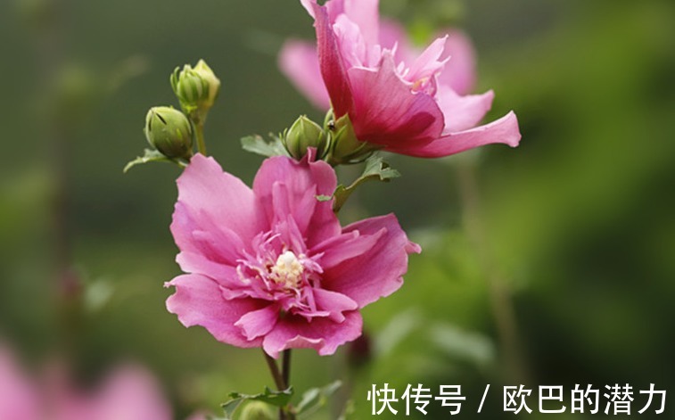 |12月,4个星座,幽默乐观,去哪都是欢声笑语,让人喜欢,桃花旺