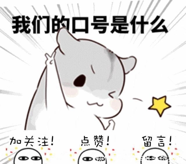 星光大道|她是星光大道總冠軍,在城里買不起房,就回農村國起了田園生活