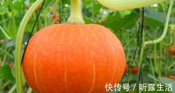 bet女性若是爱美常吃“4物”,排出体内毒素,养护血管,缓解经痛!