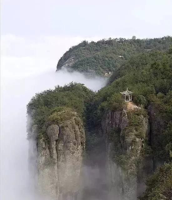 传来|太美了,世界照片今天终于传来,罕见至极,一睹为快