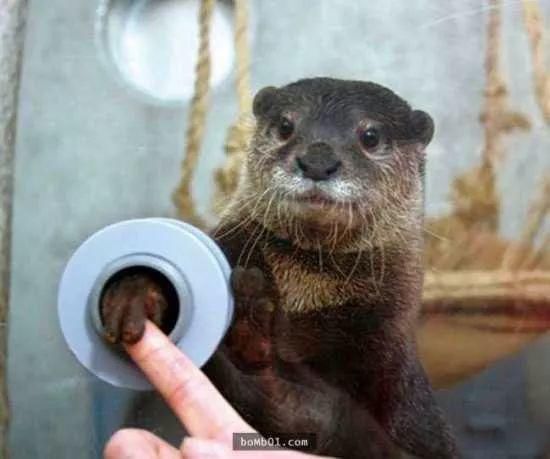 非侵入性|岛国脑洞大开系列,「非侵入性」整形面具了解一下……