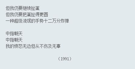 “中指”是现代诗的敲门砖？不仅有贾浅浅，还有伊沙