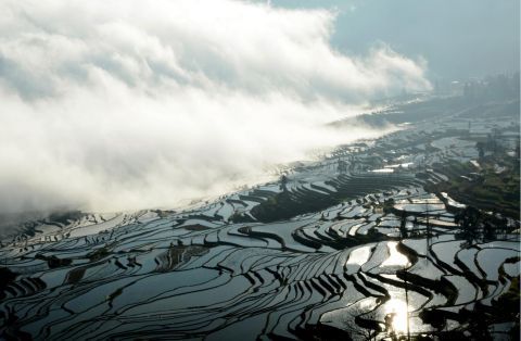 千年古梯田焕发新生机 《人民日报》关注云南红河多策并举力促哈尼梯田永续利用