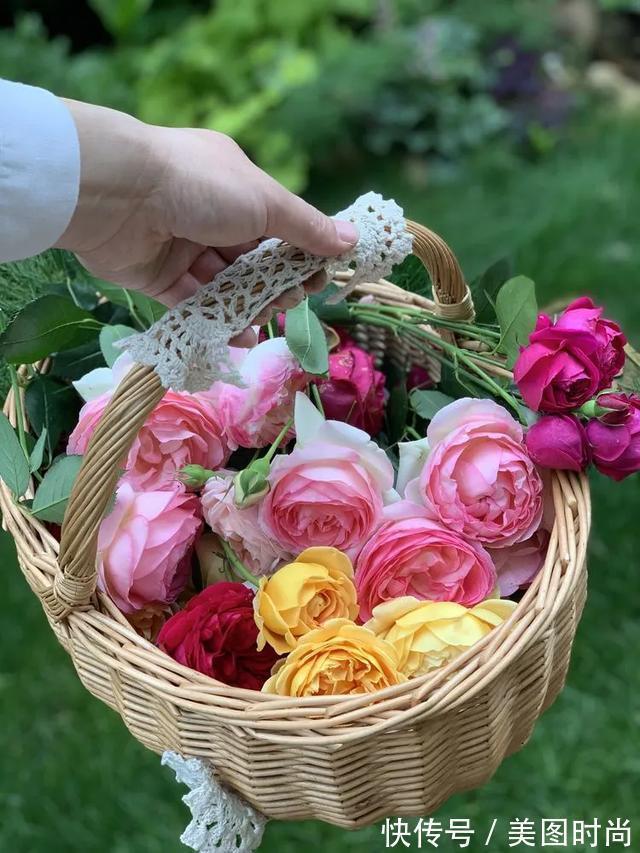 黄先森|3年前,他买了一栋带花园的小洋房,为她打造了一个童话般的花园