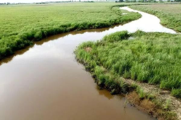 中国最美六大沼泽湿地，养在深闺无人识，去过的都惊叹不已