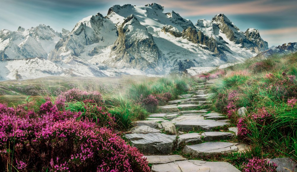  钱钟书|你和我难以逃离的《围城》，生活的真实写照