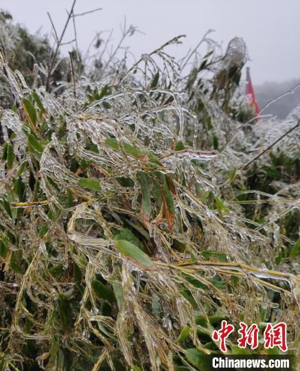 雾凇|广东惠州罗浮山再现绝美冰挂