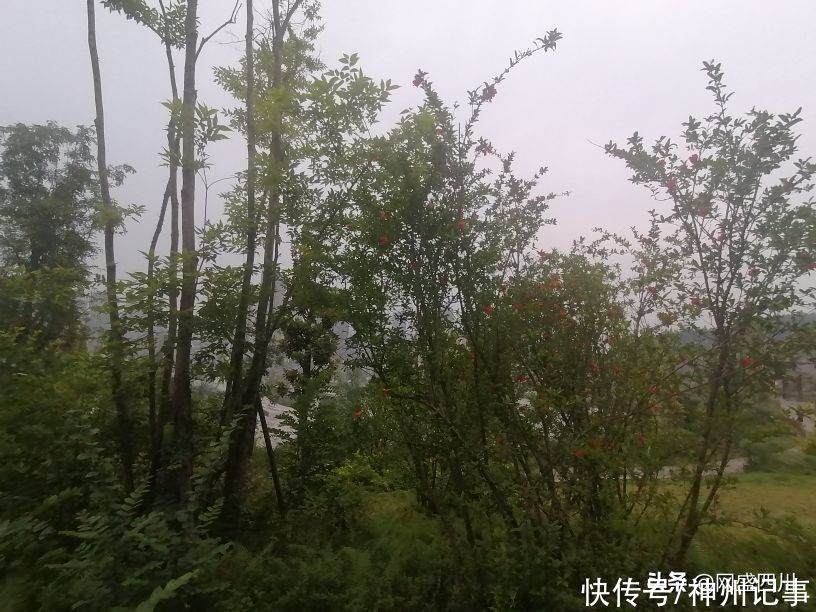 蓬安|逛游百牛赞歌广场，这里风景独好