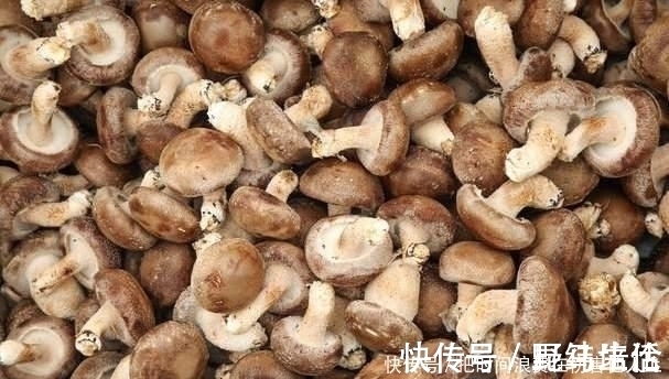 洗净|洗净香菇时，不要只用清水，厨师给你一水，让脏东西容易洗掉