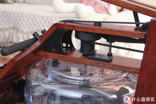 燃脂|人未老膝盖先衰？亲测野小兽R30，坐着瘦身可行