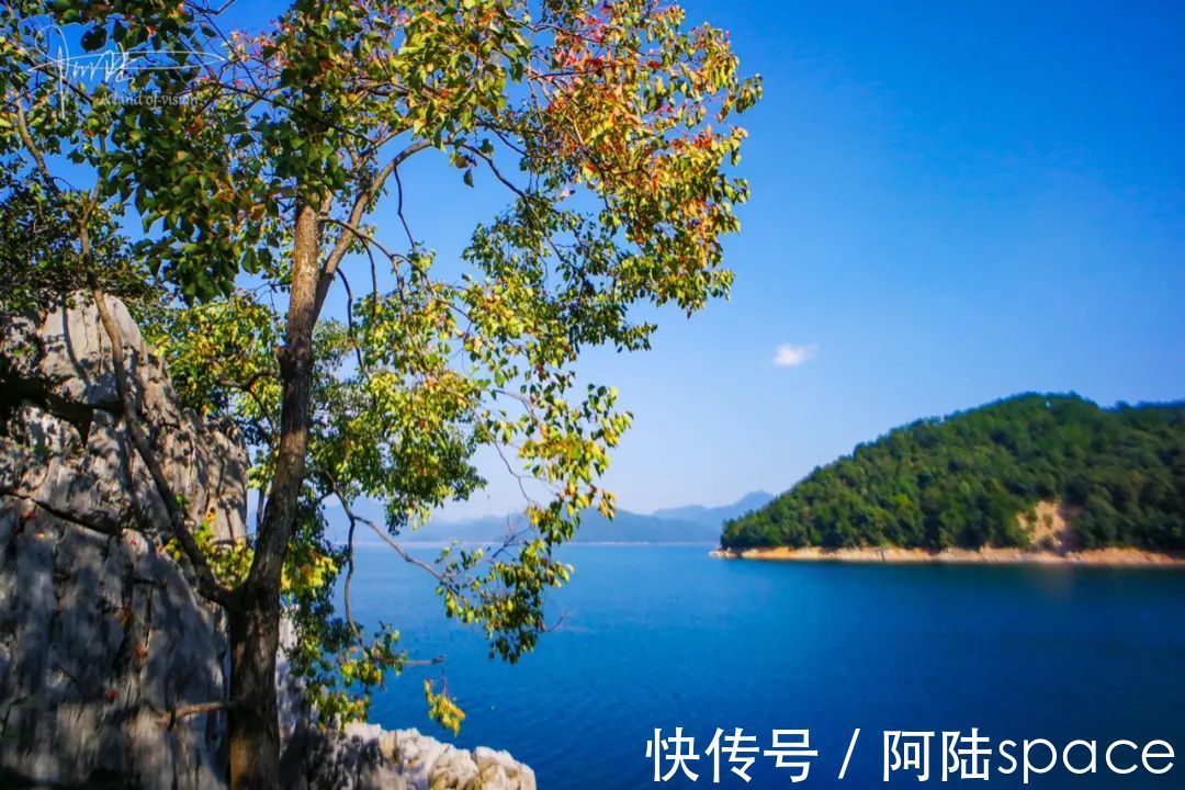 千岛湖景区|野猴伤人推人事件频发,为什么杭州千岛湖景区里的就那么听话?