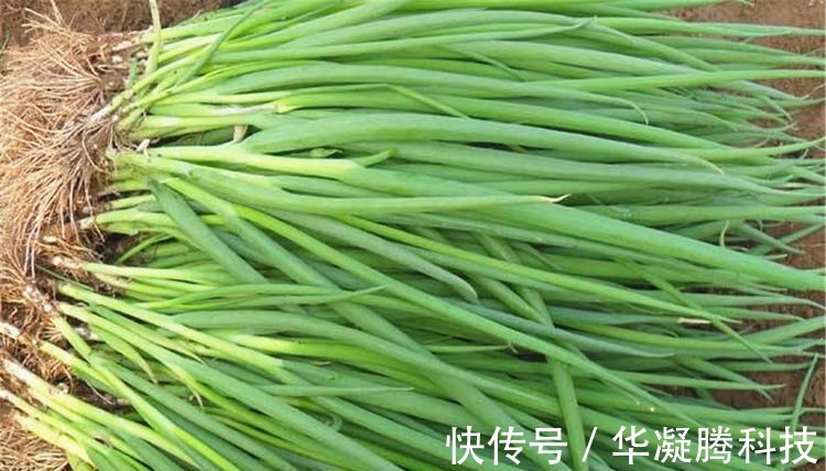 痨嗽|健康是吃出来的,3种食物天天吃,补充营养,提高免疫力!