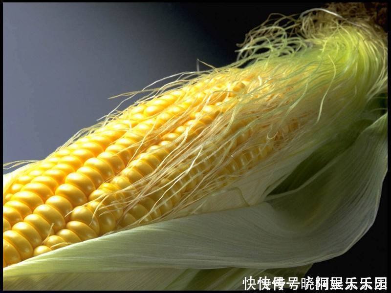 气血|黄芪“天仙配”已公布，泡水喝，祛寒湿，补气血，身体会感激你