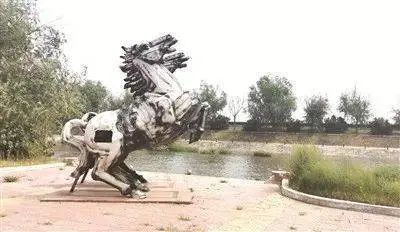 蟹老板|孩子在，能不能文明点！女子为哄娃狠拽孔雀羽毛惹众怒