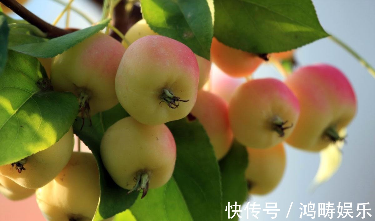 美容养颜|女人想要身材好,三种食物离不开,美容养颜,不妨一试